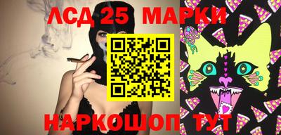 скорость Камышлов